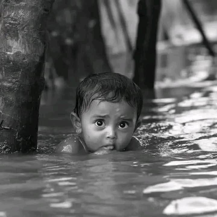 জুলাই আগষ্ট ২০২৪ জাতি শ্রদ্ধার সাথে শ্মরন রাখতে পারলে আর কোনো দিন জালিম শাসকের কবলে পড়বেনা।